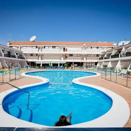52 Vivid Chipeque Los Cristianos Los Cristianos  Exterior foto